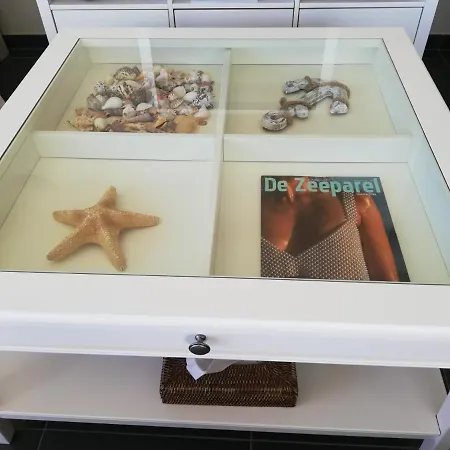 Zonnig Dicht Bij Zee En Centrum Sint Idesbald * Koksijde